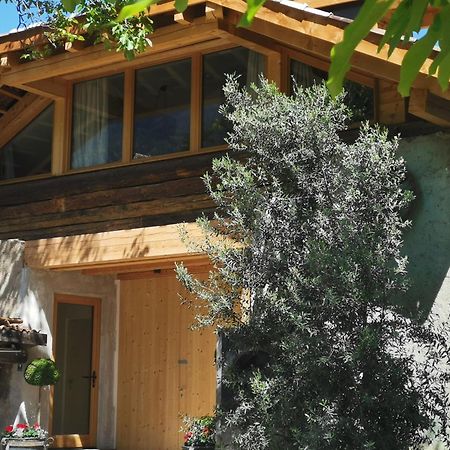 Ansitz Grustdorf Apartment Appiano Sulla Strada Del Vino Ngoại thất bức ảnh