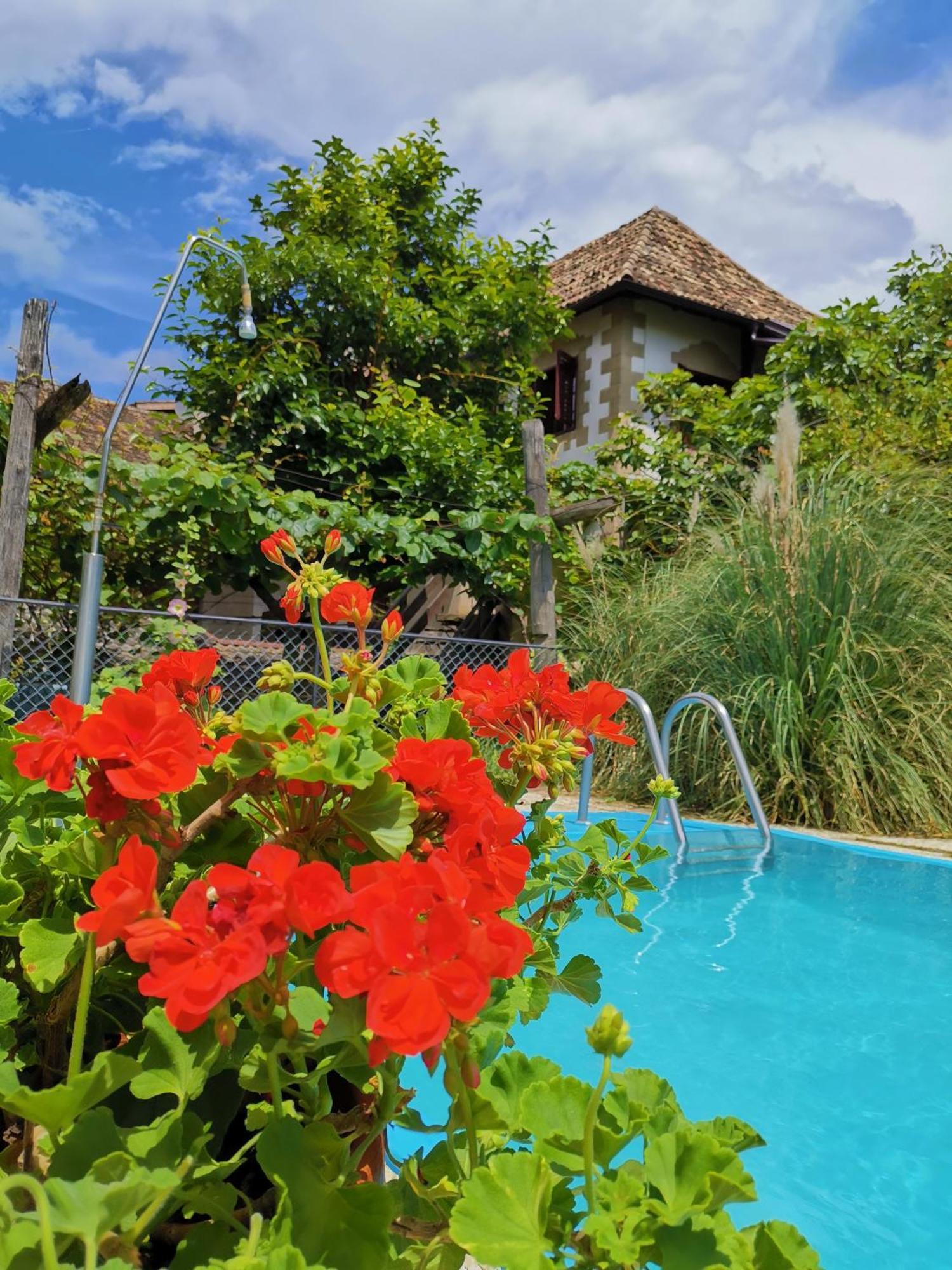 Ansitz Grustdorf Apartment Appiano Sulla Strada Del Vino Ngoại thất bức ảnh