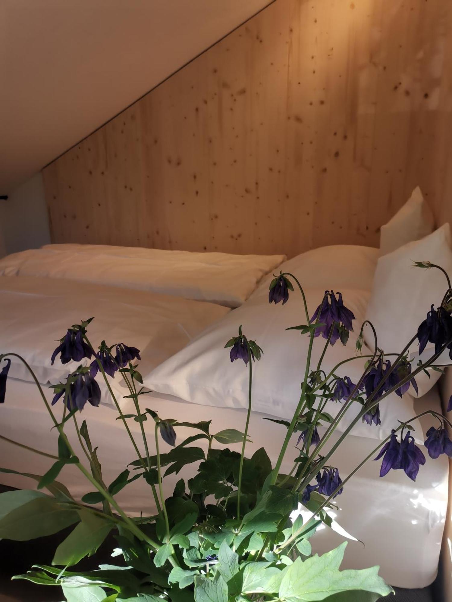 Ansitz Grustdorf Apartment Appiano Sulla Strada Del Vino Ngoại thất bức ảnh
